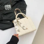 Cute Mini Shoulder Tote DD270 - Image 2