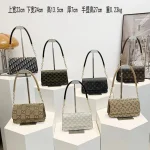 Fashionable Shoulder Bag DD287