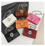 Trendy bag with stones DD316